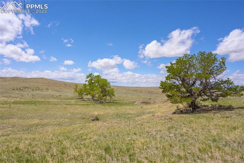 Parcel D Amethyst Rd, Deer Trail, CO 80105