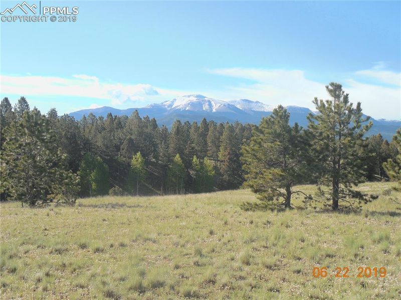 TBD 1 County Road 51, Divide, CO 80814