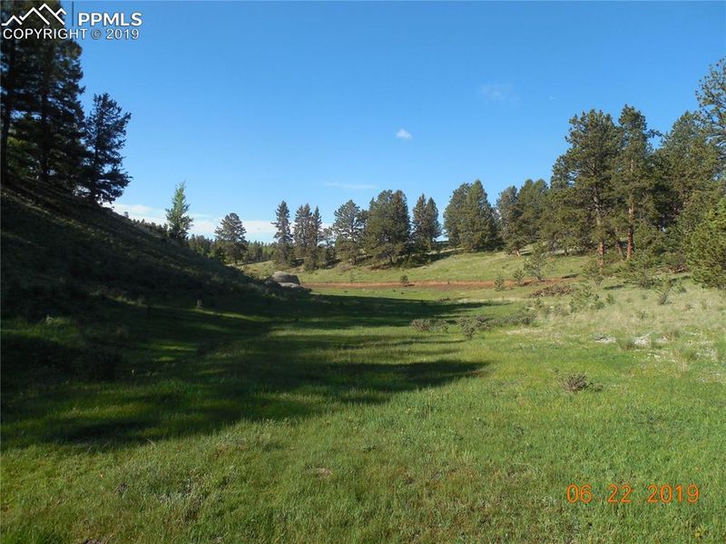TBD 1 County Road 51, Divide, CO 80814