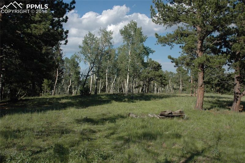 TBD 2 County Road 51, Divide, CO 80814