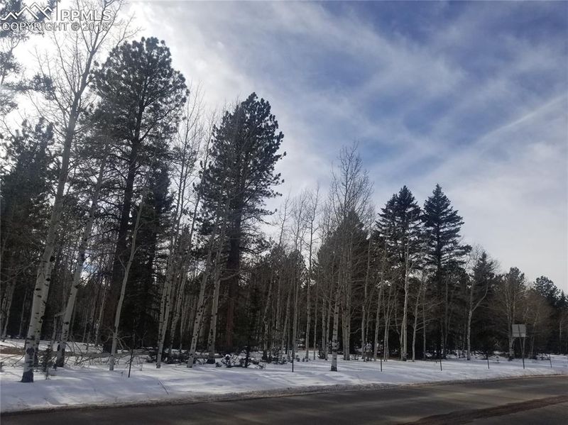TBD 2 County Road 51, Divide, CO 80814