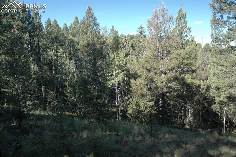 TBD 2 County Road 51, Divide, CO 80814