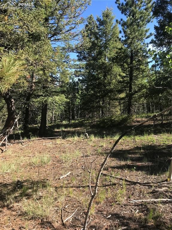 TBD County Road 5, Divide, CO 80814