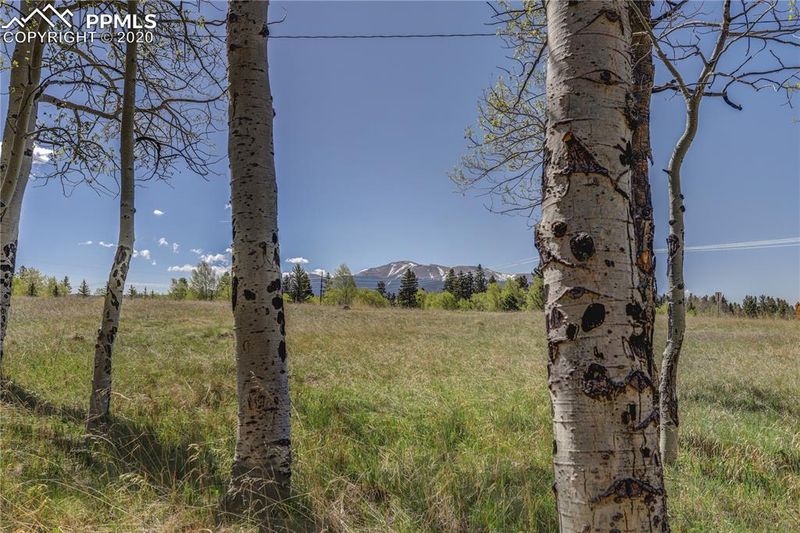 TBD County Road 51 Rd, Divide, CO 80814