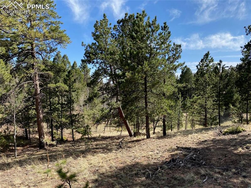 TBD County Road 512, Divide, CO 80814