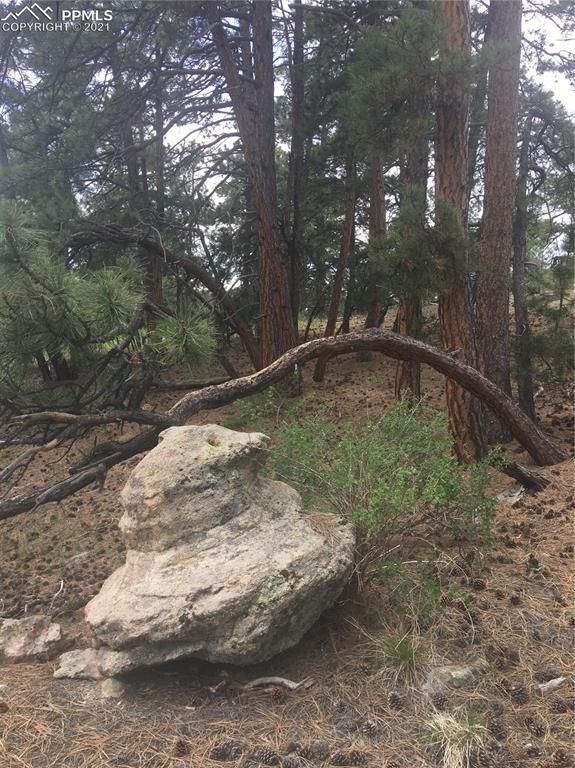 TBD Elbert Rd, Elbert, CO 80106