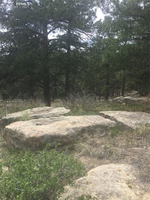 TBD Elbert Rd, Elbert, CO 80106