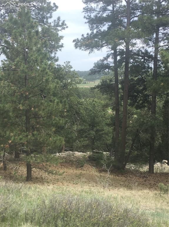 TBD Elbert Rd, Elbert, CO 80106