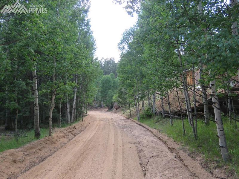 tbd Fern Rd, Divide, CO 80814