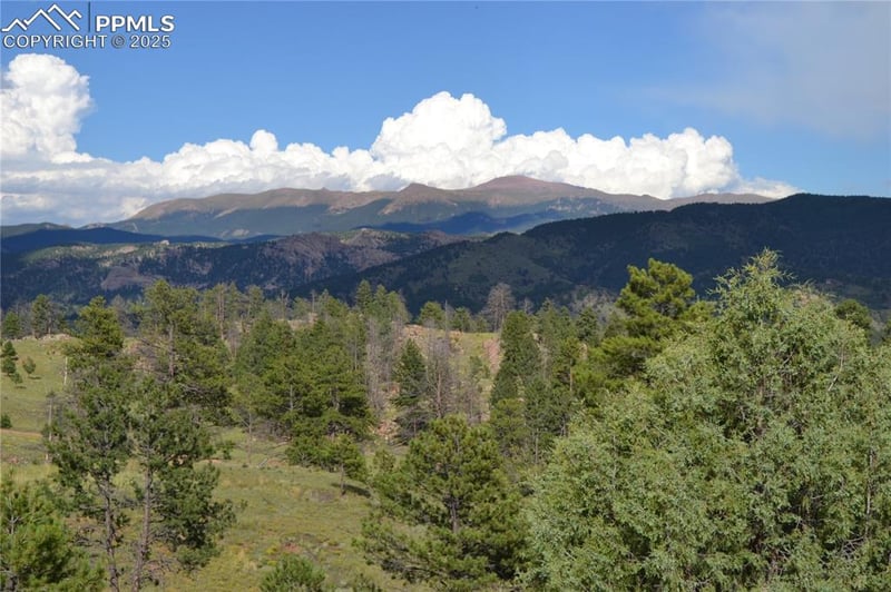 TBD Golden Eagle Hts, Florissant, CO 80816