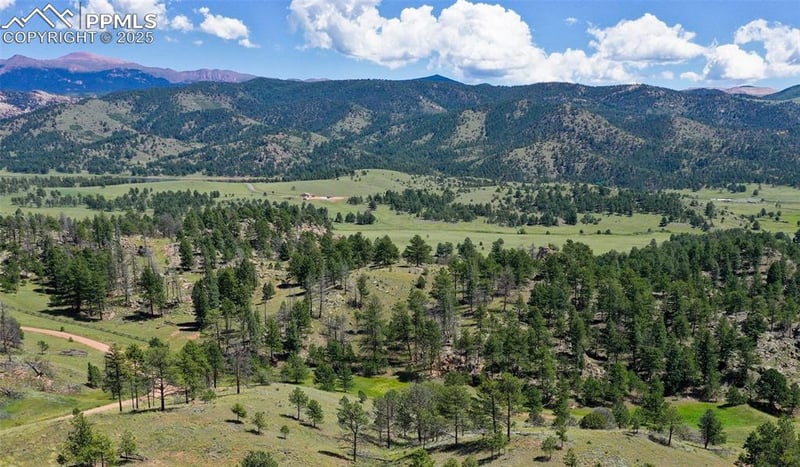 TBD Golden Eagle Hts, Florissant, CO 80816