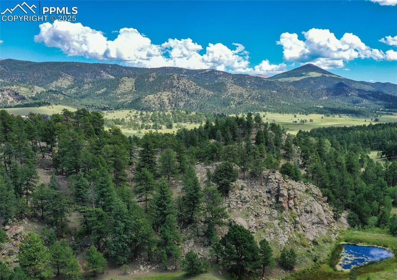 TBD Golden Eagle Hts, Florissant, CO 80816