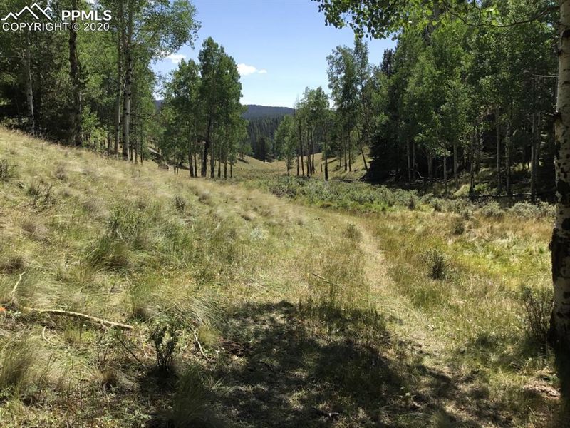 TBD Highway 24 Hw, Divide, CO 80814
