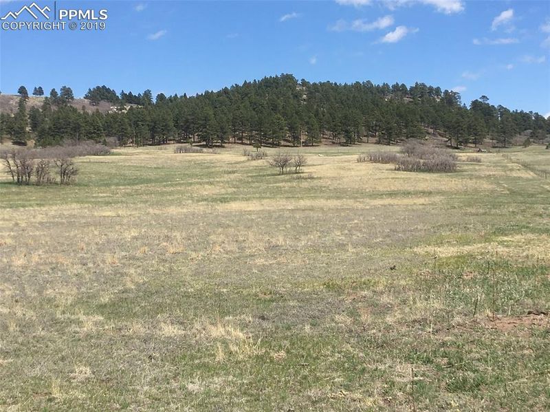 TBD Highway 83, Larkspur, CO 80118