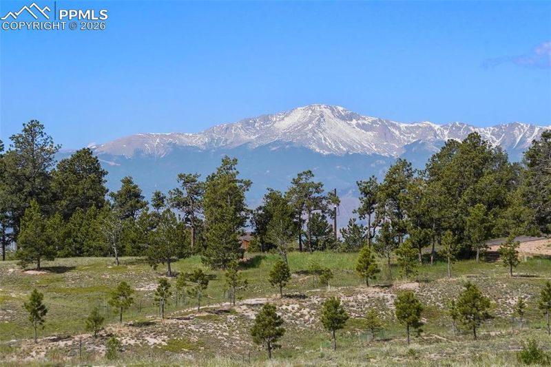 TBD Holmes Rd, Colorado Springs, CO 80908