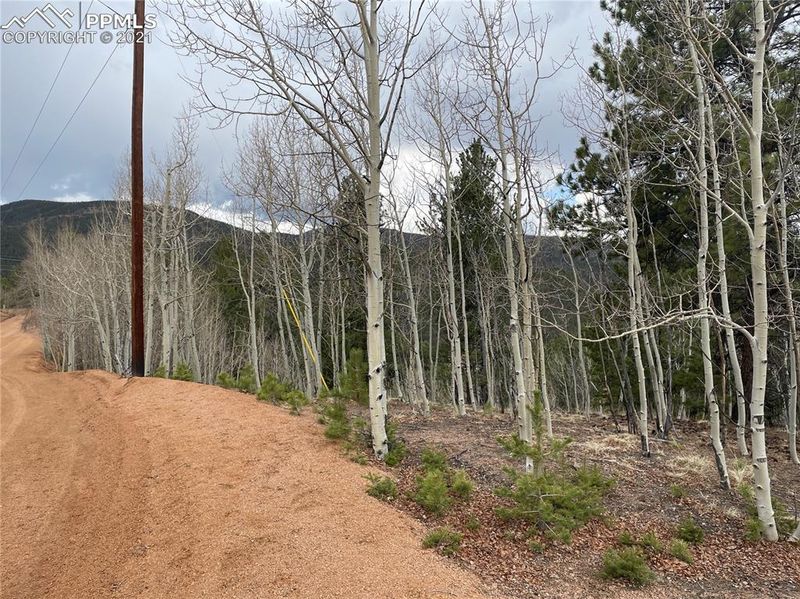 TBD Horseshoe Dr, Divide, CO 80814