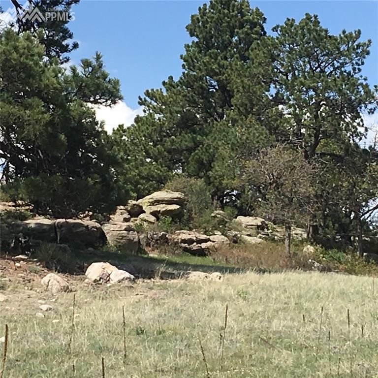TBD Jones Rd, Larkspur, CO 80118
