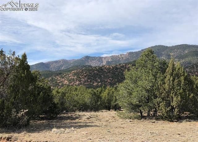 TBD L31 Red Rock Cir, Penrose, CO 81240