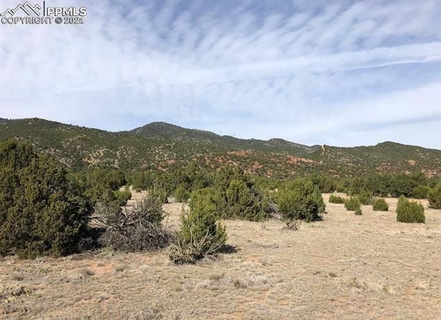 TBD L31 Red Rock Cir, Penrose, CO 81240