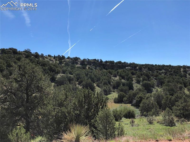 TBD L48 Lakeview Ln, Penrose, CO 81240