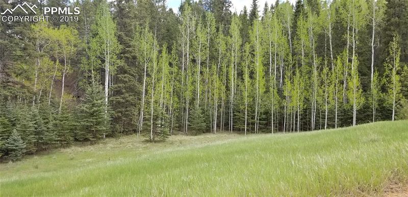 TBD W Lake Dr, Divide, CO 80814
