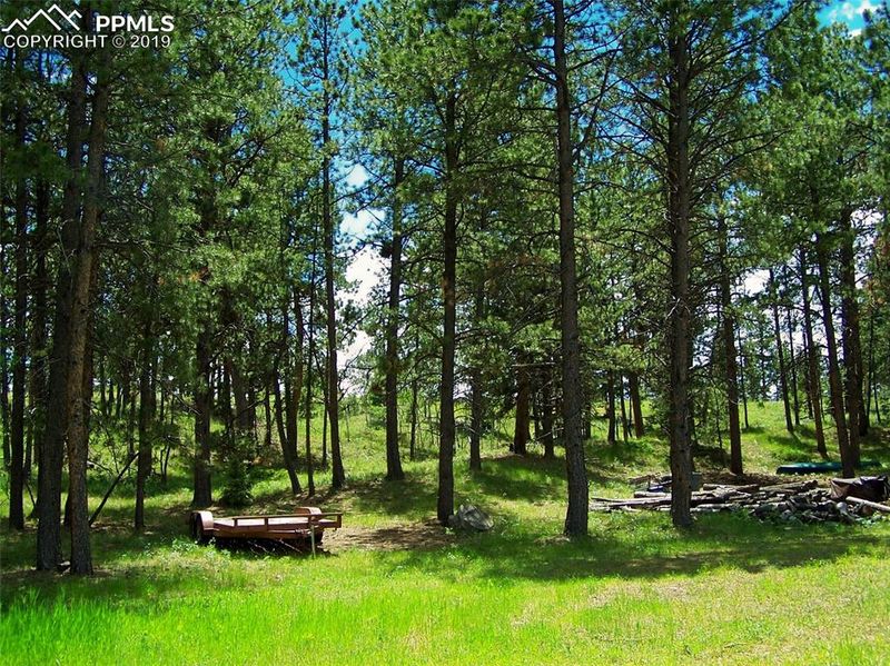 TBD Painted Rocks Rd, Woodland Park, CO 80863