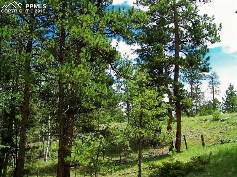 TBD Painted Rocks Rd, Woodland Park, CO 80863