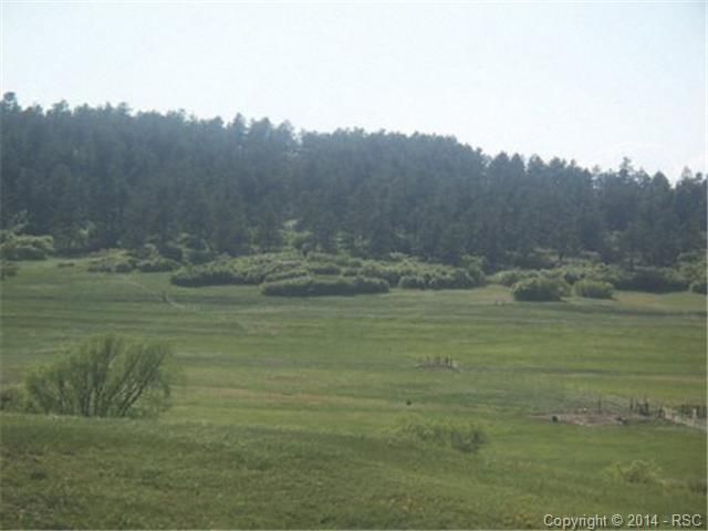 TBD Palmer Divide Ave, Larkspur, CO 80118