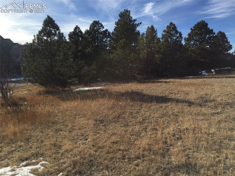 TBD Pauma Valley Dr, Colorado Springs, CO 80921