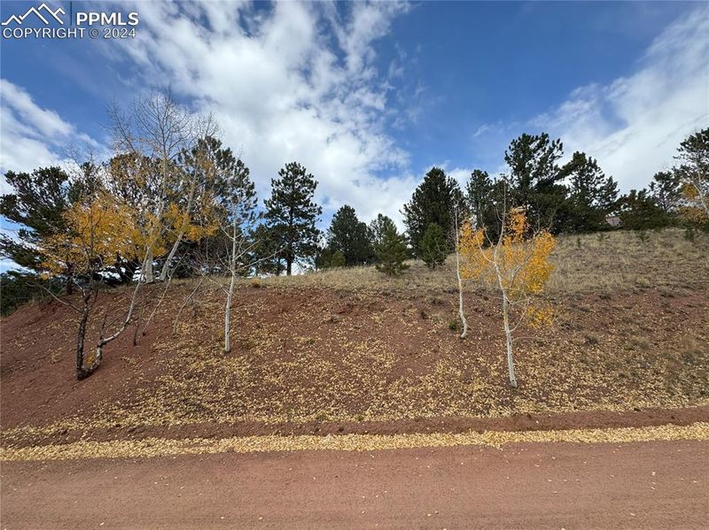 TBD Pikes Peak Dr, Divide, CO 80814