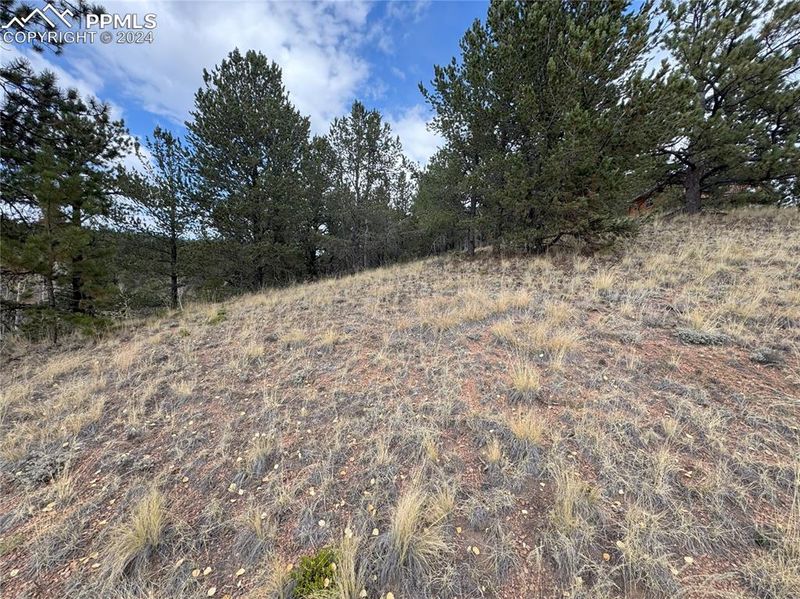 TBD Pikes Peak Dr, Divide, CO 80814