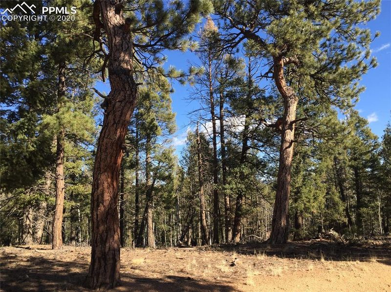TBD Pinecrest Rd, Woodland Park, CO 80863