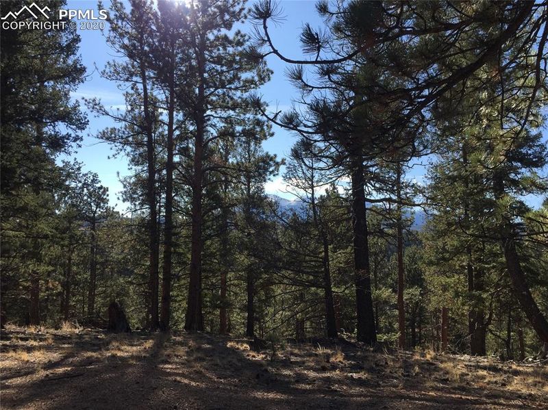 TBD Pinecrest Rd, Woodland Park, CO 80863