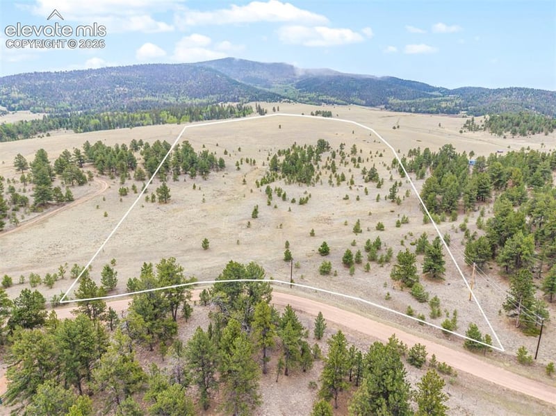 TBD Ranger Station Rd, Florissant, CO 80846