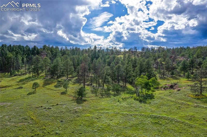 TBD Spring Valley Dr, Florissant, CO 80816