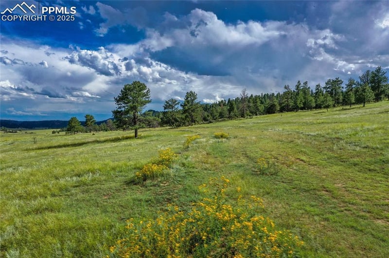 TBD Spring Valley Dr, Florissant, CO 80816