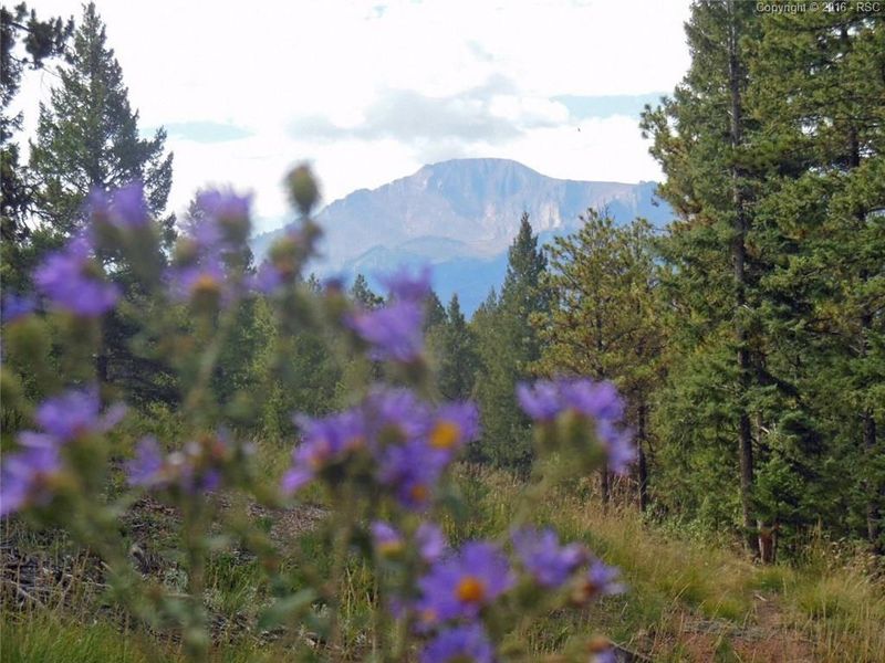 TBD Thunder Ridge Dr, Woodland Park, CO 80863