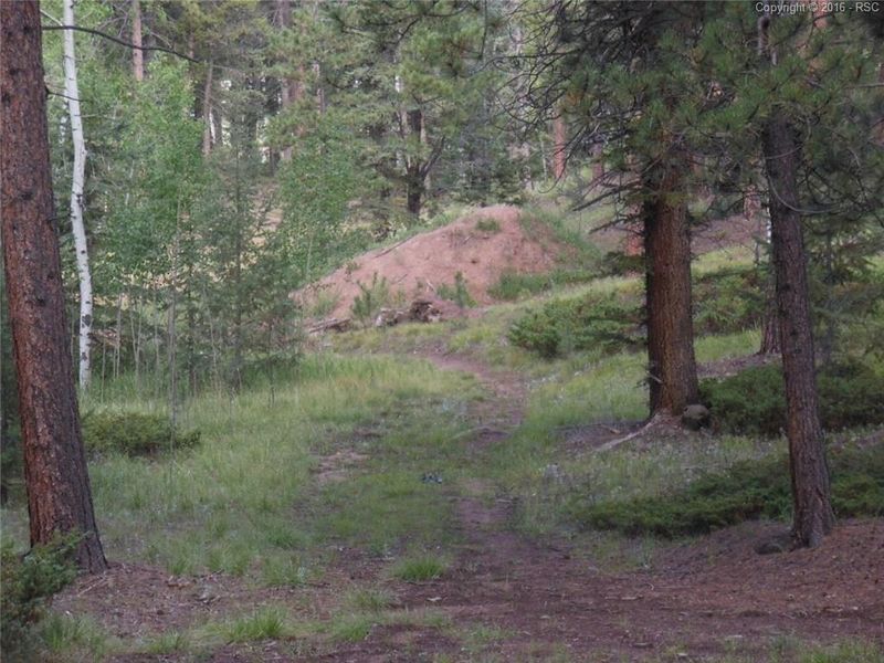TBD Thunder Ridge Dr, Woodland Park, CO 80863
