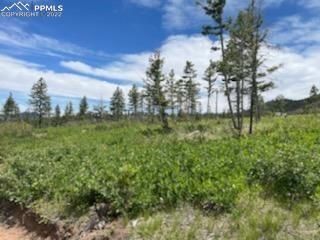 TBD Unknown, Larkspur, CO 80118