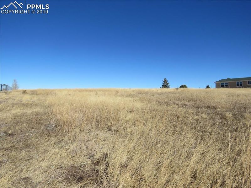 TBD Will Scarlet Dr, Divide, CO 80814