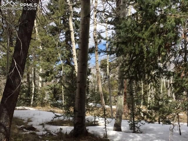TBD Will Stutley Dr, Divide, CO 80814