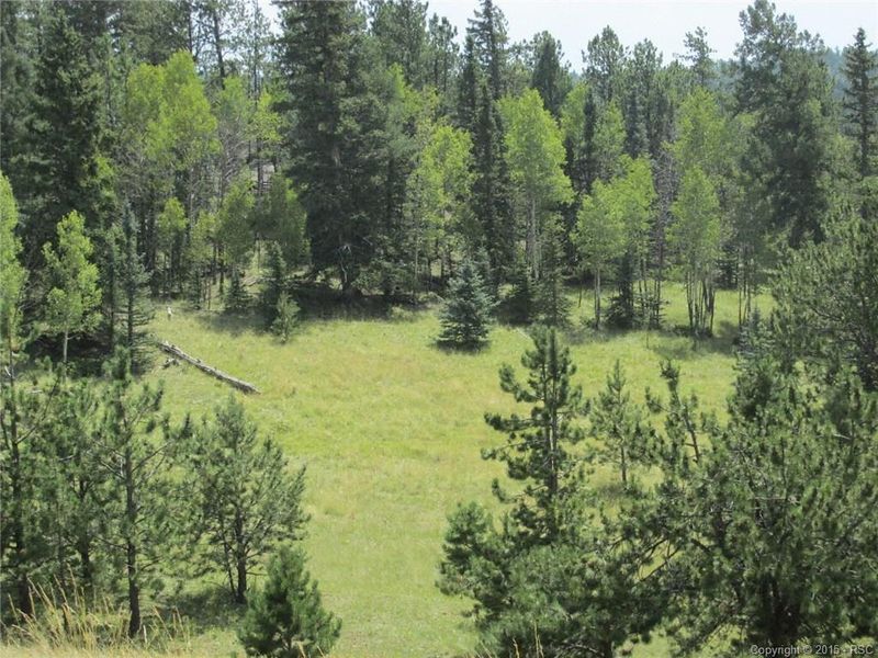 Tract 5 County Road 42, Divide, CO 80814