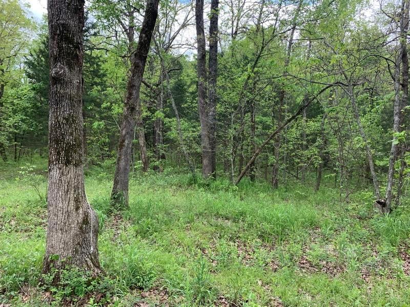 Dogwood Ln, Urbana, MO 65767