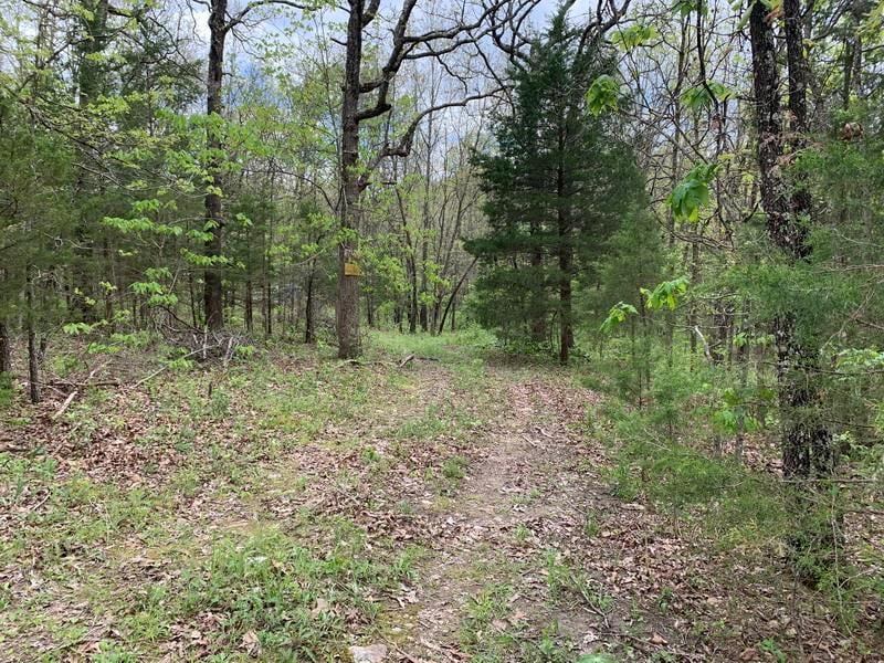 Dogwood Ln, Urbana, MO 65767