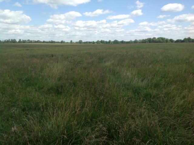 207th & Ridgeview Rd, Spring Hill, KS 66083