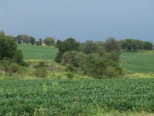 184 +/ Acres 92 Hw, Kearney, MO 64060