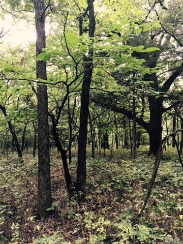 0000 Gwynn Rd, Centerville, KS 66014