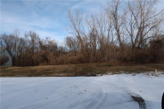 NE 34 Ter, Kansas City, MO 64116