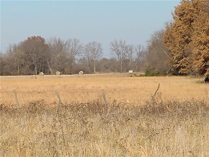 16109 E M Hwy N/A, Nevada, MO 64772