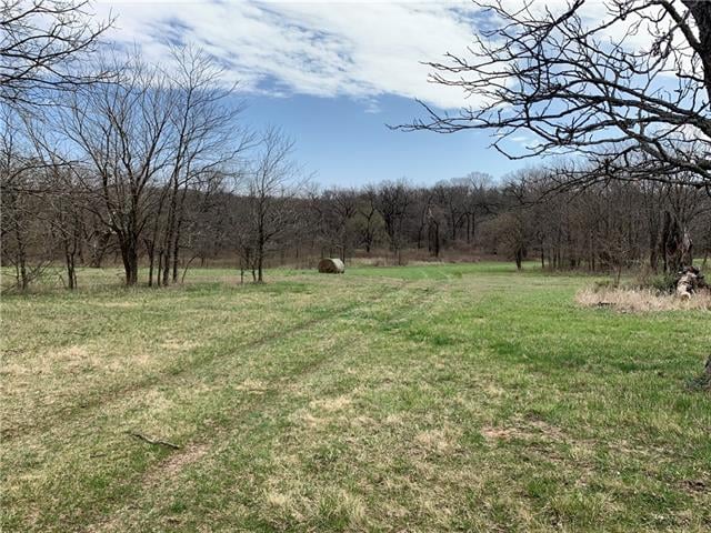 18312 Goddard St, Overland Park, KS 66013